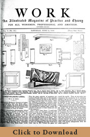 Issue No. 13 - Published June 15, 1889 5