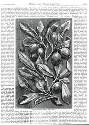 Issue No. 13 - Published June 15, 1889 12