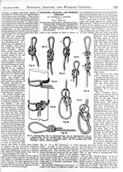 WORK No. 113- Published MAY 16, 1891 10