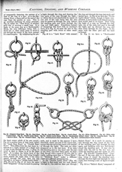 WORK No. 120- Published July 4, 1891 12