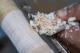 /prodimg/gt/thb/GT-LATHE_M_thb.jpg