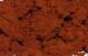 /prodimg/lb/thb/LB-0290_B_thb.jpg