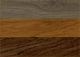 W. D. Lockwood Oil  Based Oak Dye Family