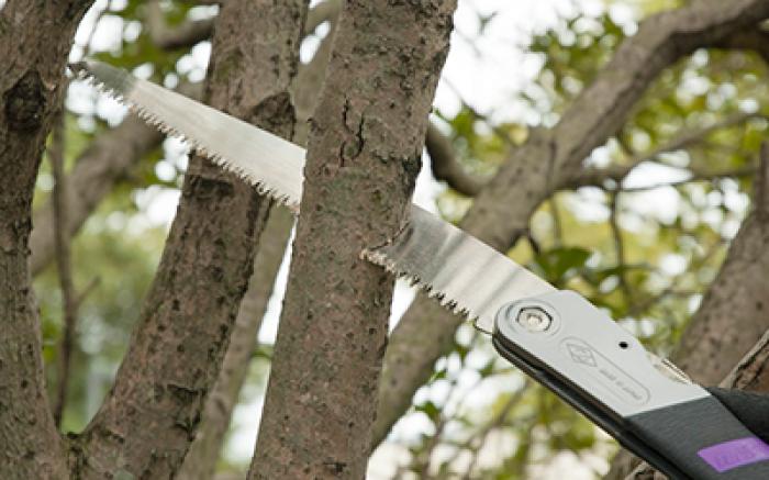 Zetsaw Tuck-In 240 Folding Pruning Saw