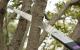 Zetsaw Tuck-In 240 Folding Pruning Saw
